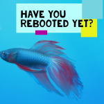 Have you rebooted?