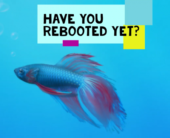 Have you rebooted?