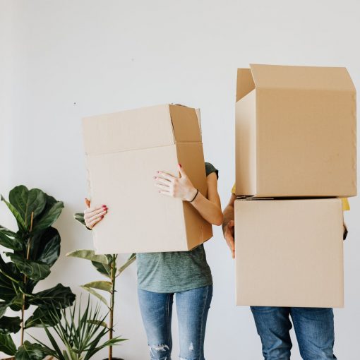 couple carrying cardboard boxes in living room