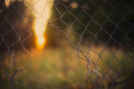 gray wire fence