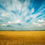 photo of grass field