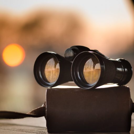 black binocular on round device