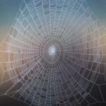 large white spiderweb